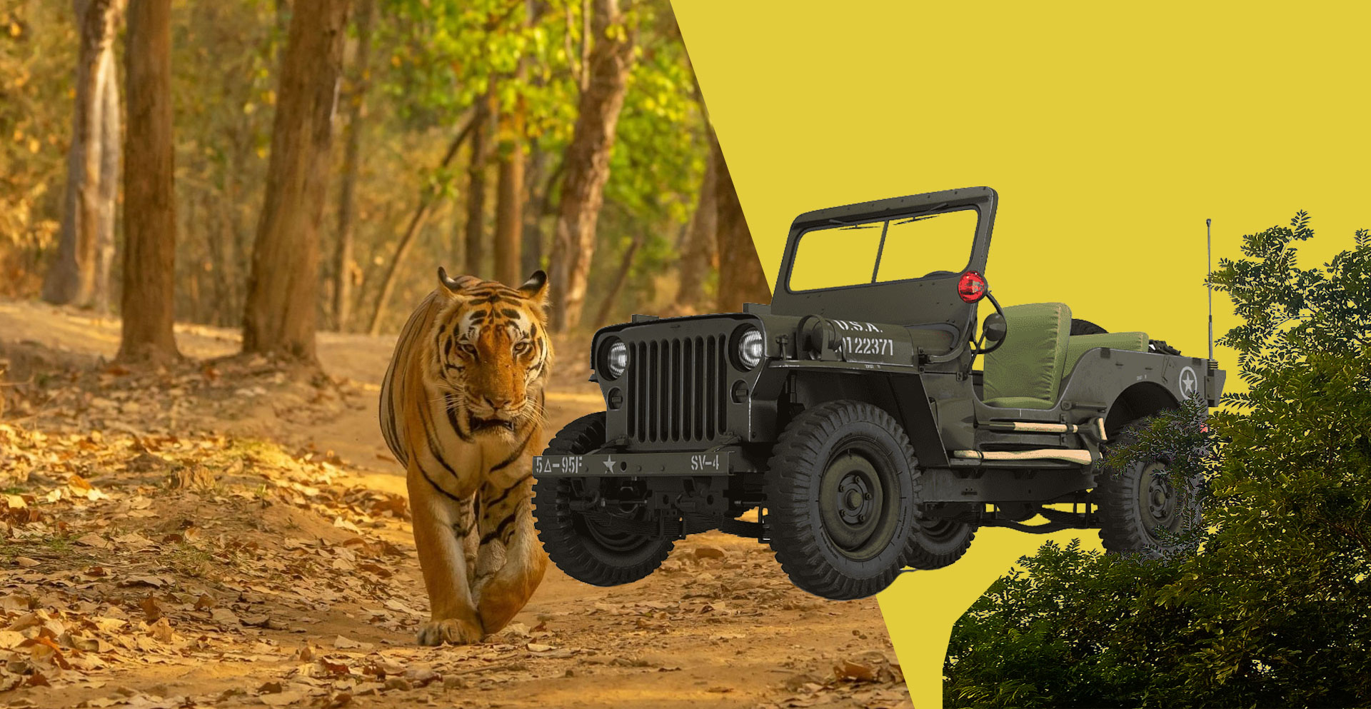 rajaji jungle safari booking